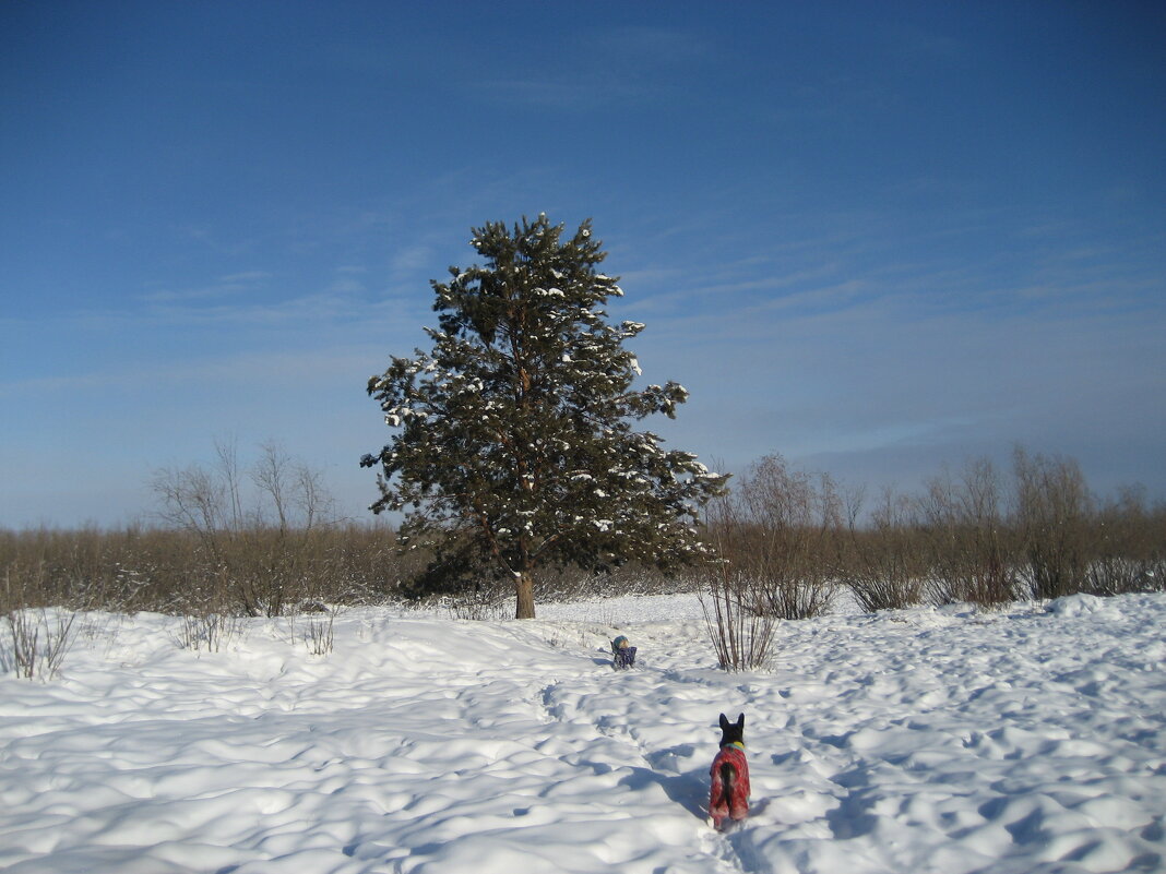 На острове - Anna Ivanova На острове - Anna Ivanova