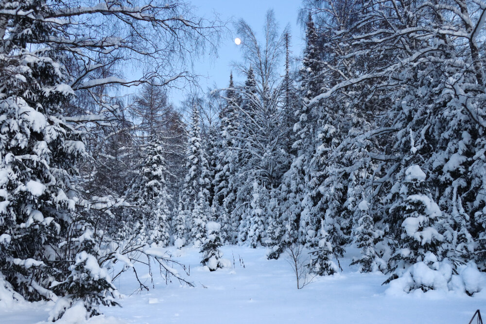 И тишина... - Галина Ильясова И тишина... - Галина Ильясова
