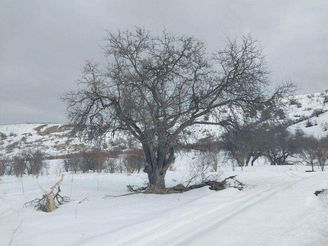 Talgar. - Murat Bukaev 