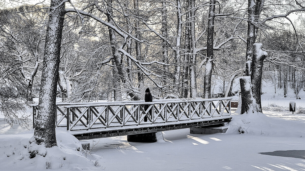 В зимнем очеровании - Alexandеr P