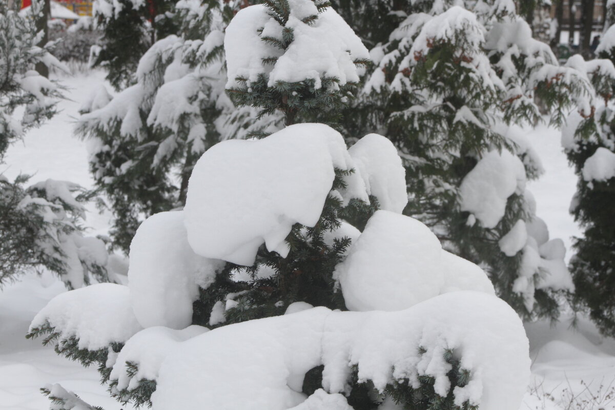 Баллада о Снеге - олег свирский 