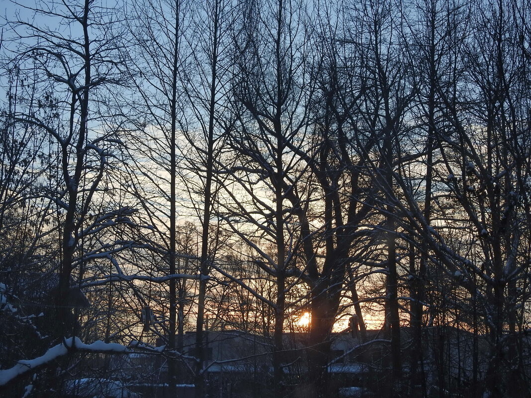 зимний рассвет - ИННА ПОРОХОВА