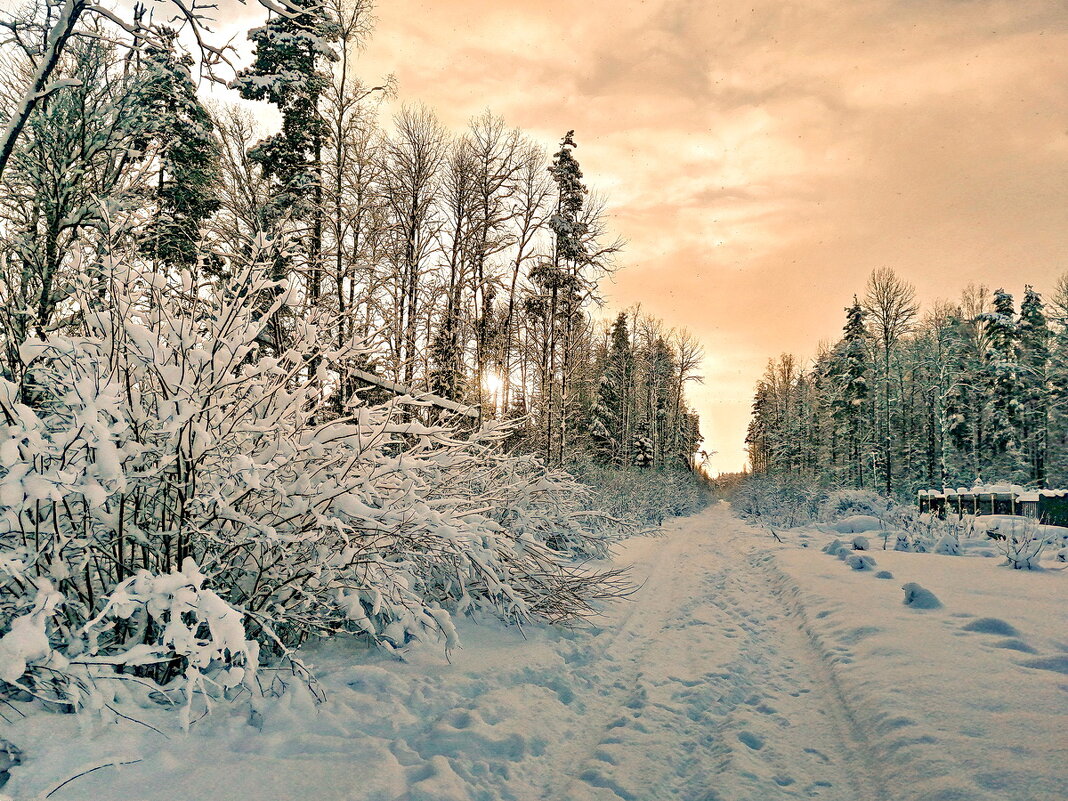 РОЖДЕСТВЕНСКОЕ УТРО. - Виталий Половинко