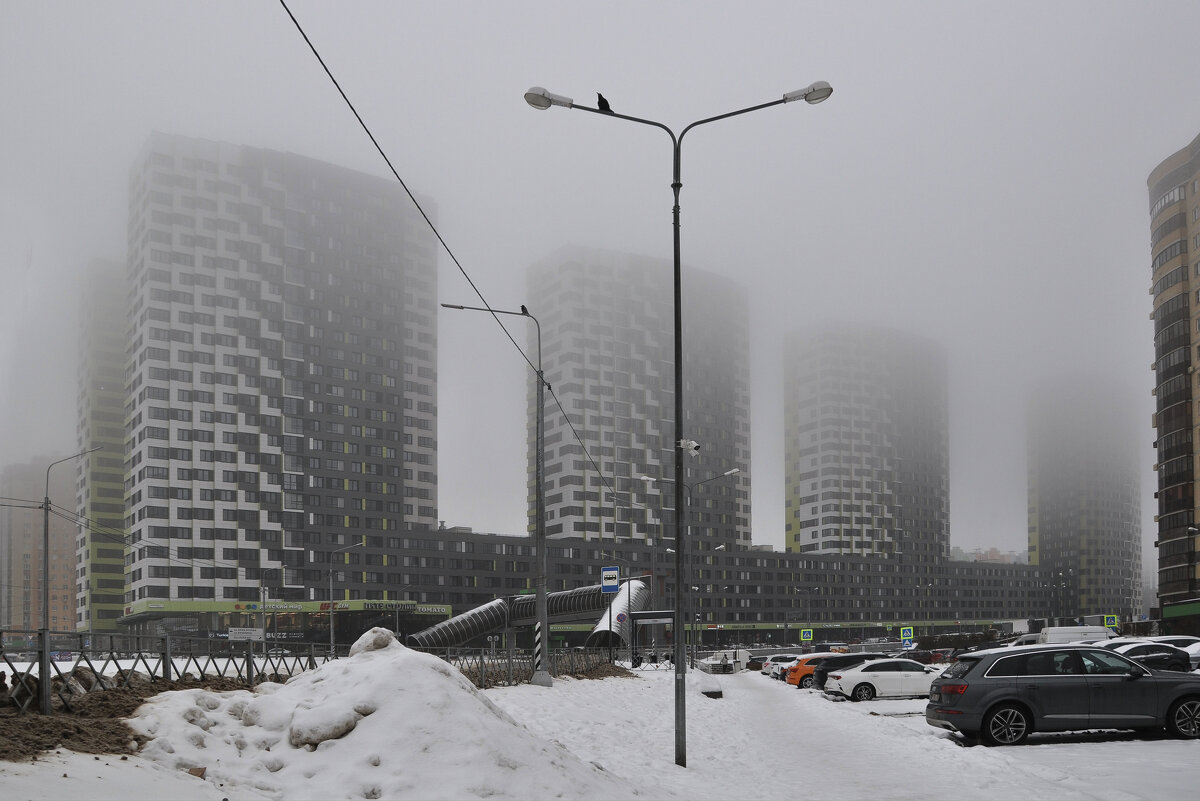 ЖК "Пять столиц" - Татьяна Машошина