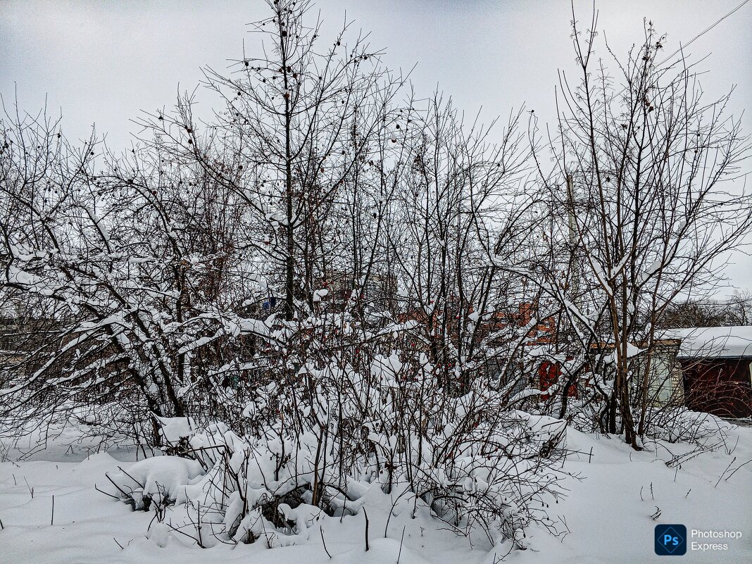 В снежном убранстве - Юлия Денискина