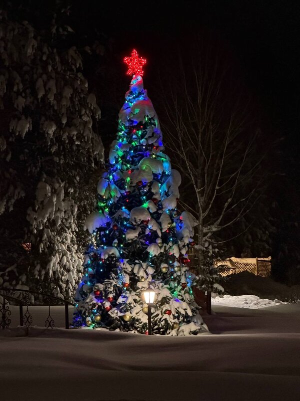 А за городом зима,зима, зима... - Pippa 