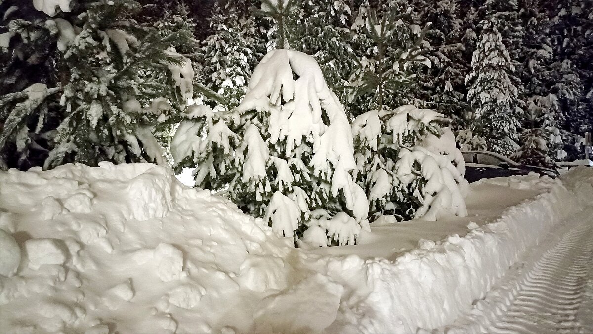 Замело... - Татьяна Тюменка