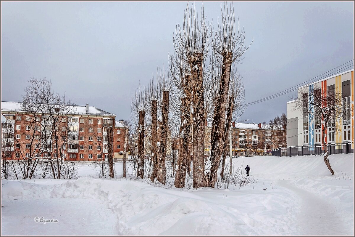 Субботний вечер - Aquarius - Сергей