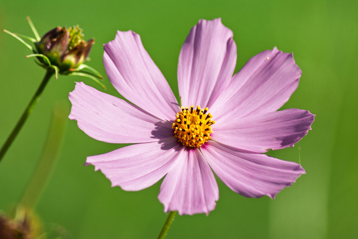 *** - Виктор Иванович Чернюк