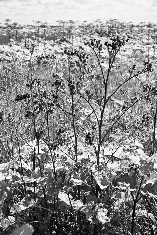 Фотография - Денис Безногов