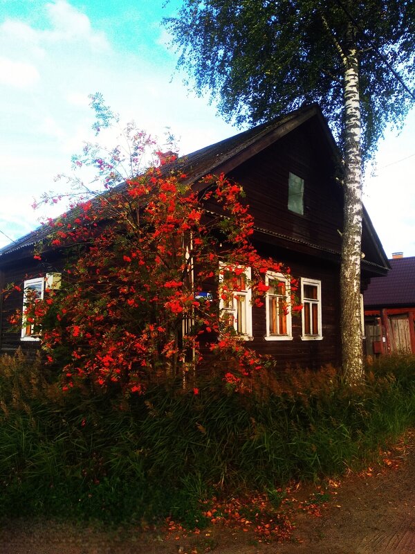 осень - Сергей Кочнев