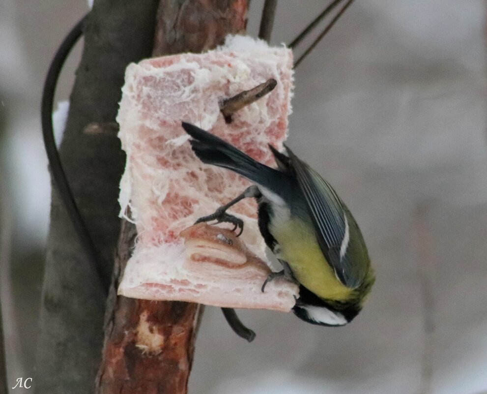Вкусно и сытно! - Любовь Сахарова