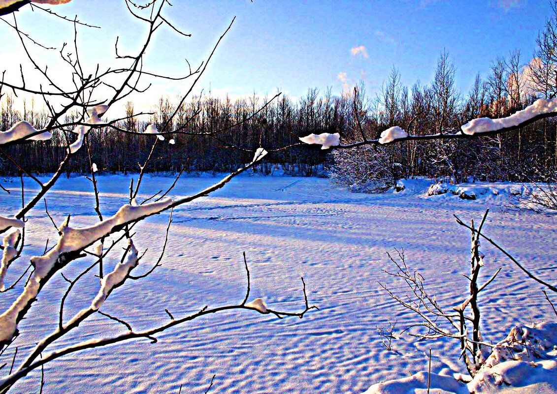 Морозное утро января у лесного озера! - Владимир Морозное утро января у лесного озера! - Владимир