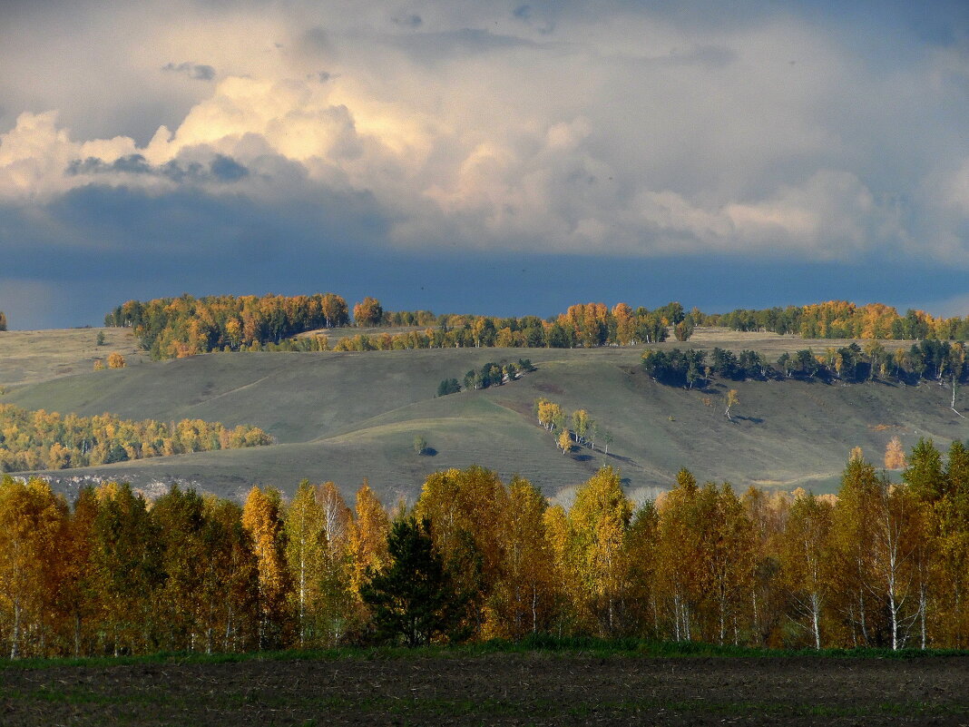О российской нашей необъятной шири. - nadyasilyuk Вознюк О российской нашей необъятной шири. - nadyasilyuk Вознюк