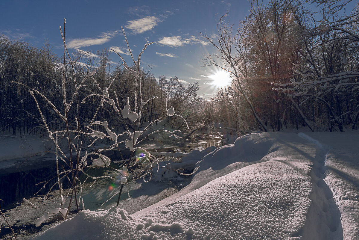 ... - Жора Житников ... - Жора Житников