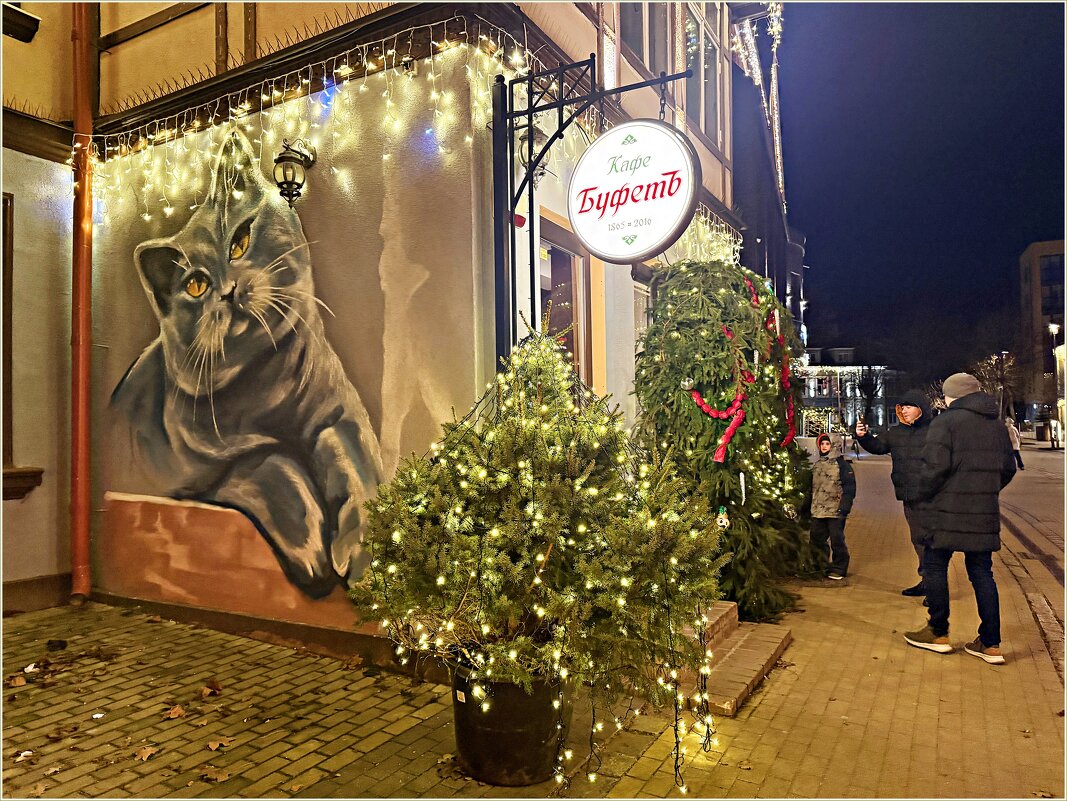 Вечернее кафе. - Валерия Комова