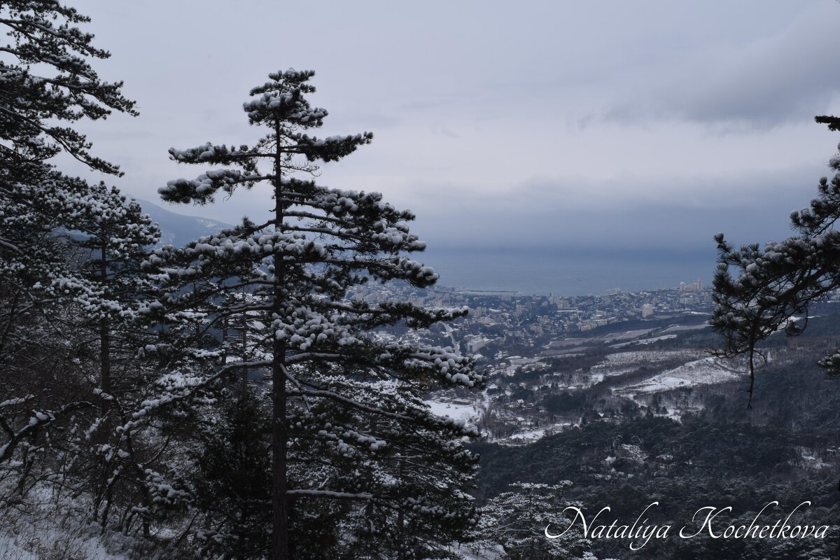 Природа Крыма - Amazing Cosmea