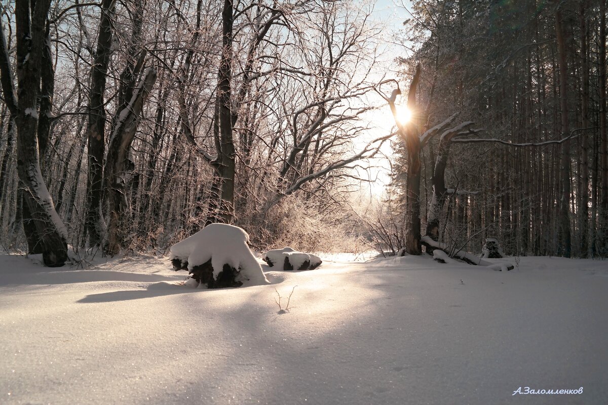 Про январские рассветы.. - Андрей Заломленков