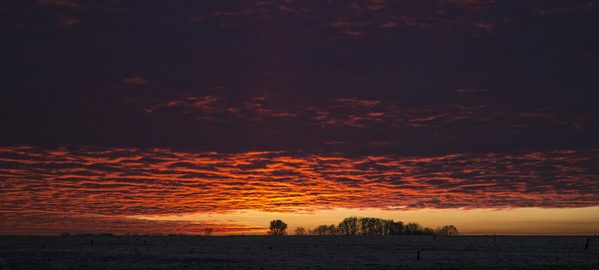 Утро. - Александр. AVG100 ---