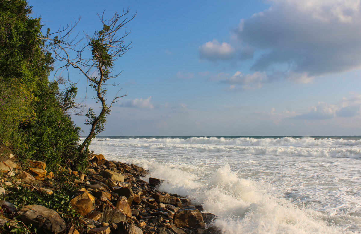 Море. - Александр. AVG100 ---