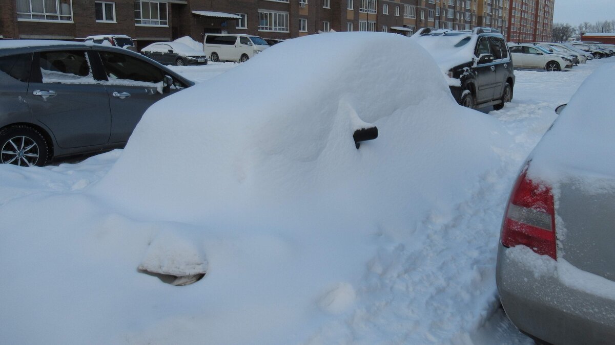 Подснежник - Андрей Макурин