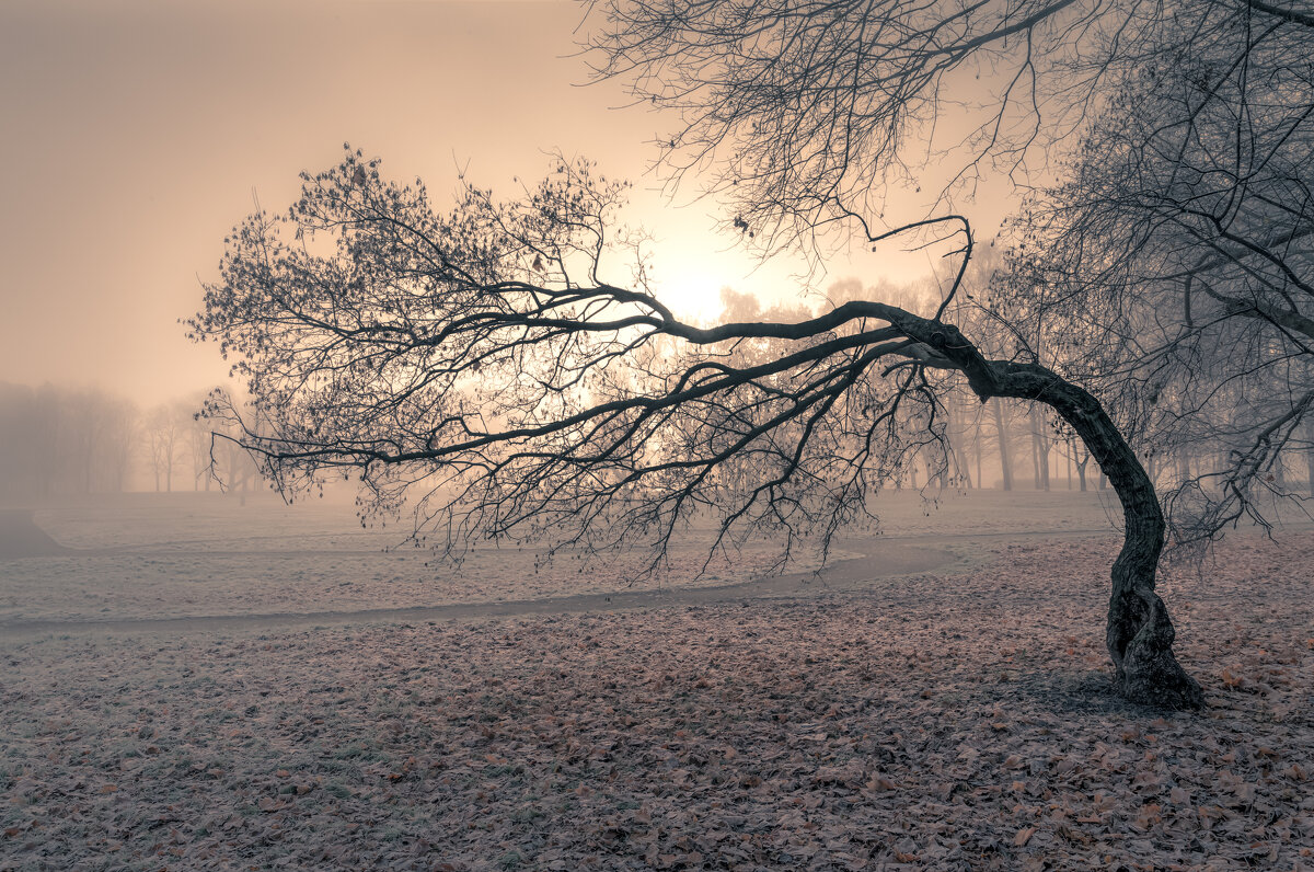 Кривое не может сделаться прямым (Еккл. 1:15) - Игорь Шевченко