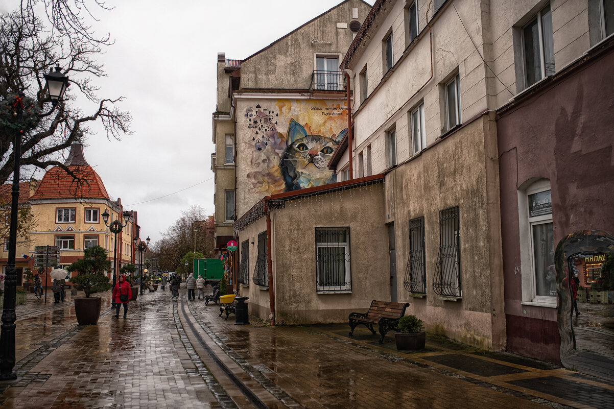 Город кошек - Лилия .