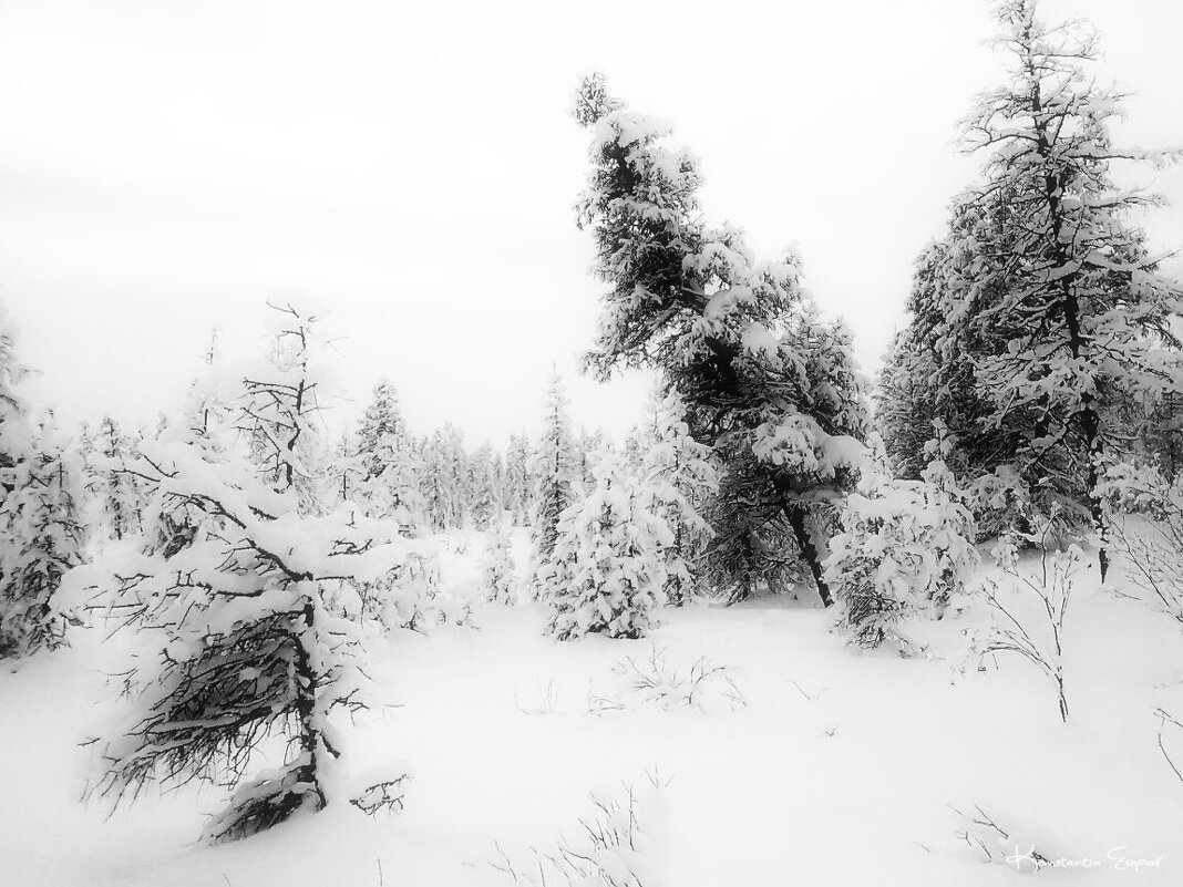 /// - Константин Есипов