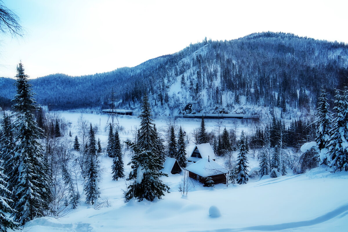 Лужба - Павел Трунцев