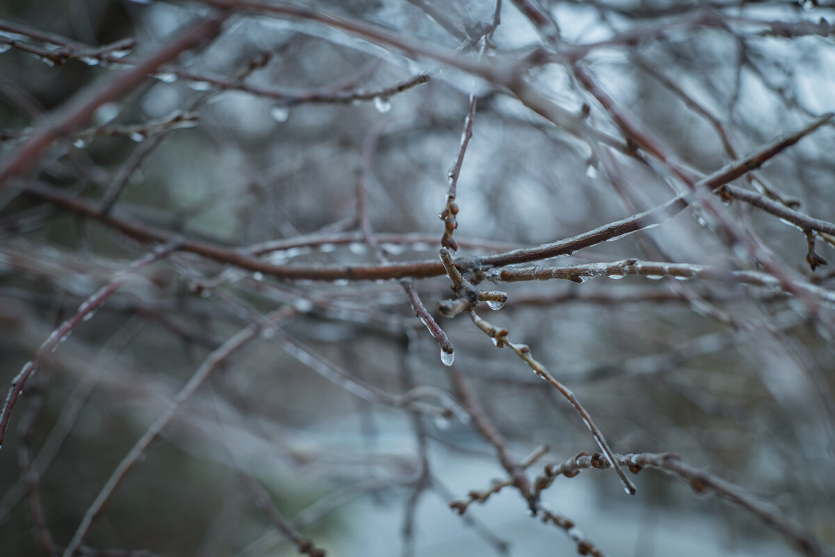 Зима - Тамара Федорова