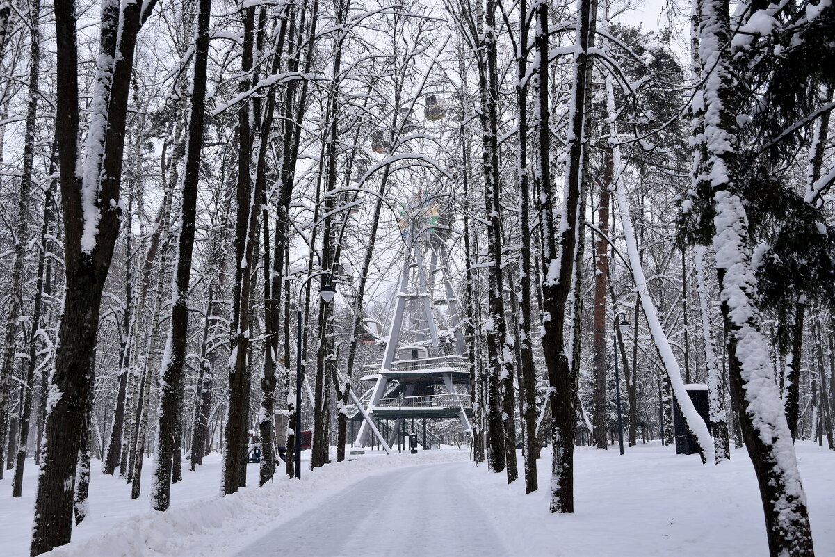 Зима в парке. - tatiana Зима в парке. - tatiana