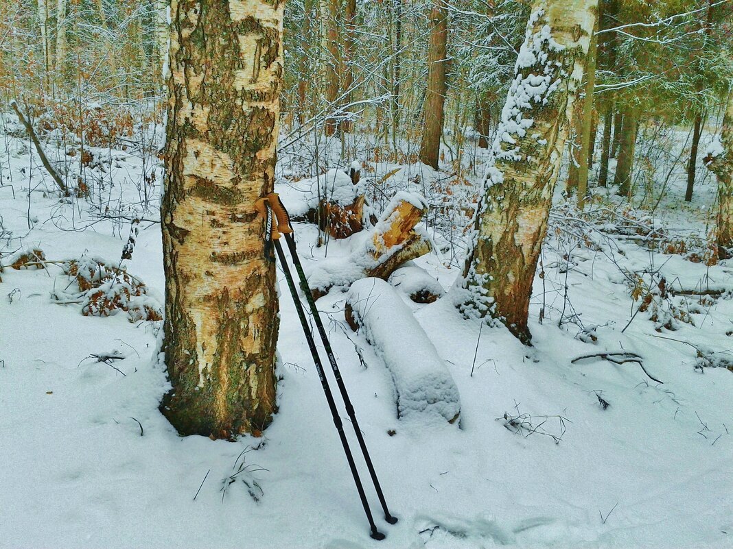 забыли - Владимир 