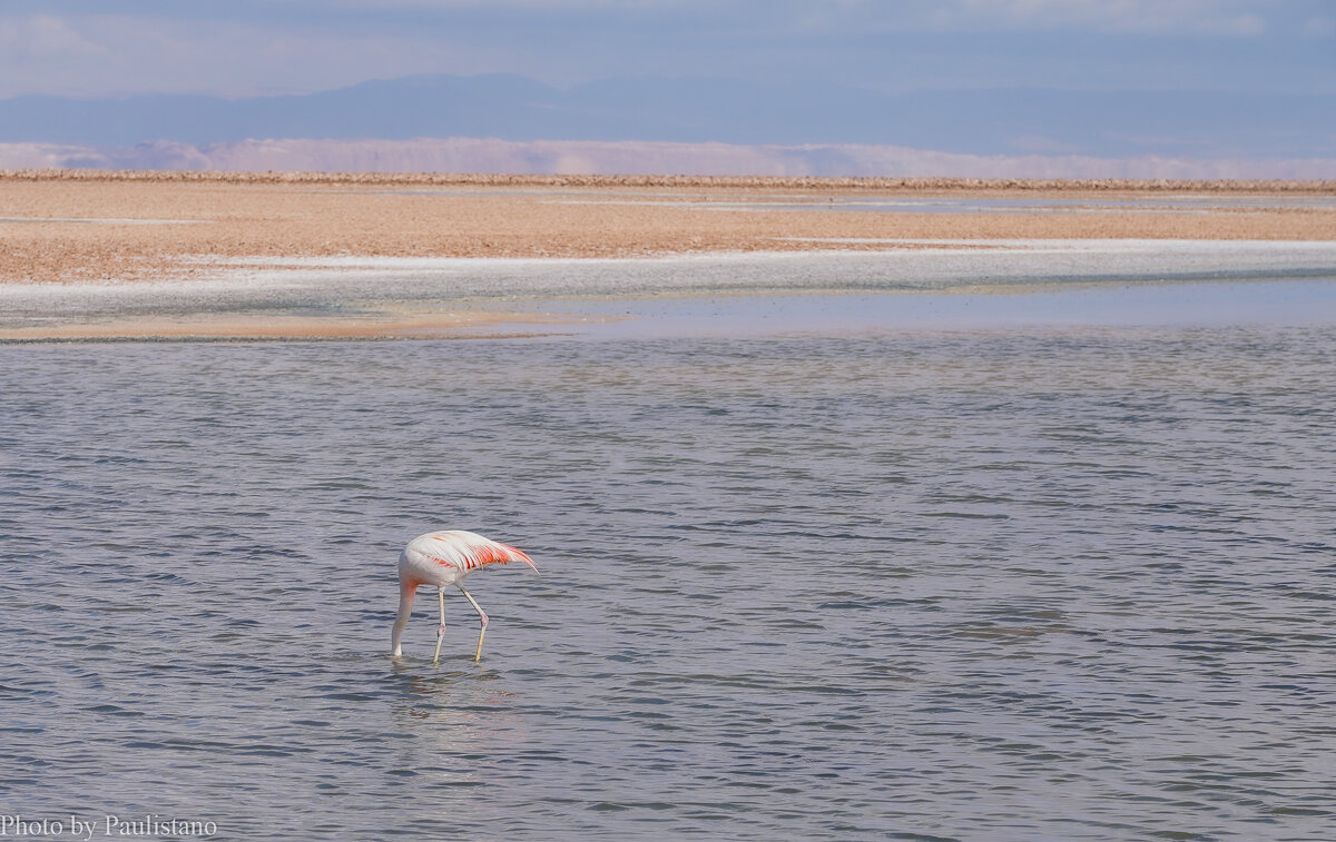 В краю солёных озёр... - Владимир Жданов В краю солёных озёр... - Владимир Жданов
