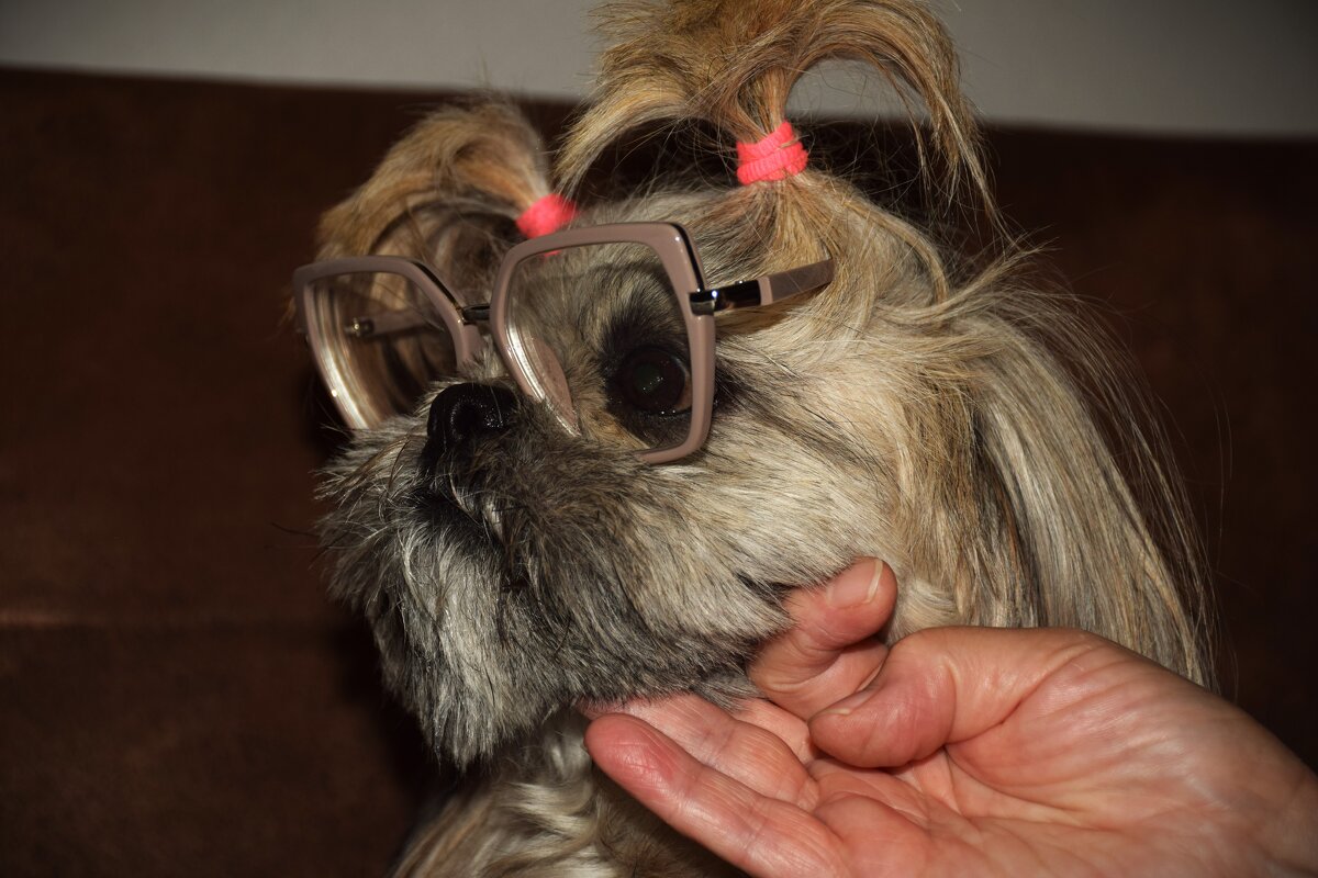 Профессор - Юрий Полторыхин.