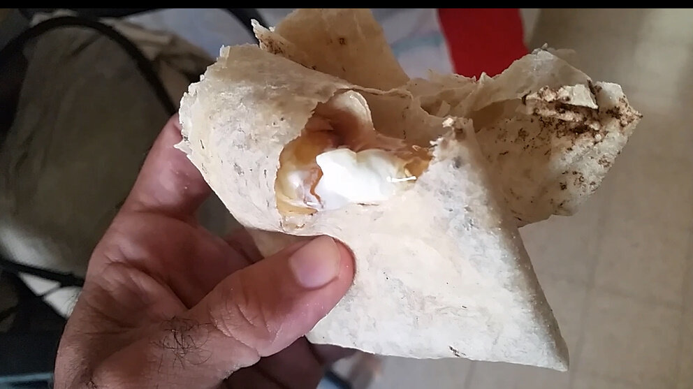 115 (54) - CLOSE WAYS ALL