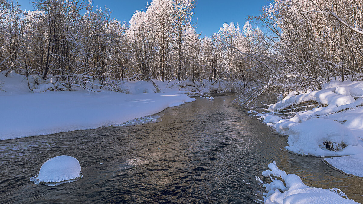 ... - Жора Житников