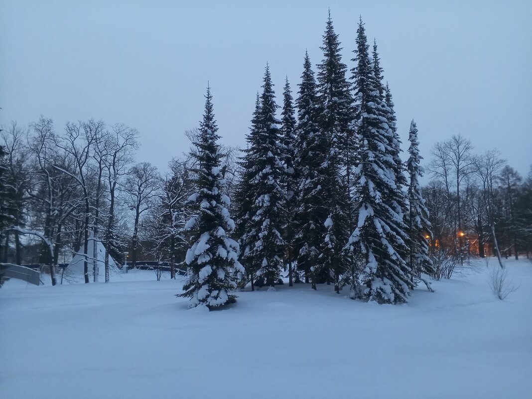 Зима - Сапсан 