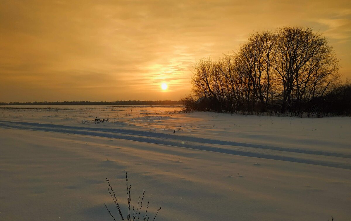 Пейзаж - Олег Денисов