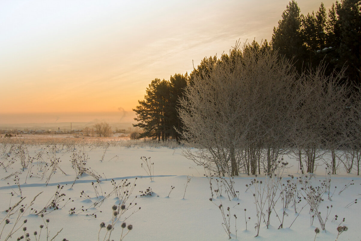 Зимнее утро - Владимир Кириченко
