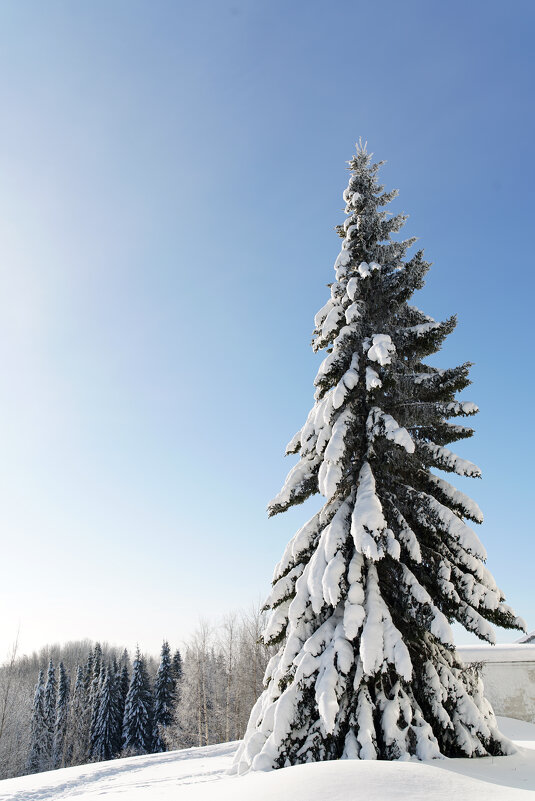 Зимний пейзаж - Алексей Исаков