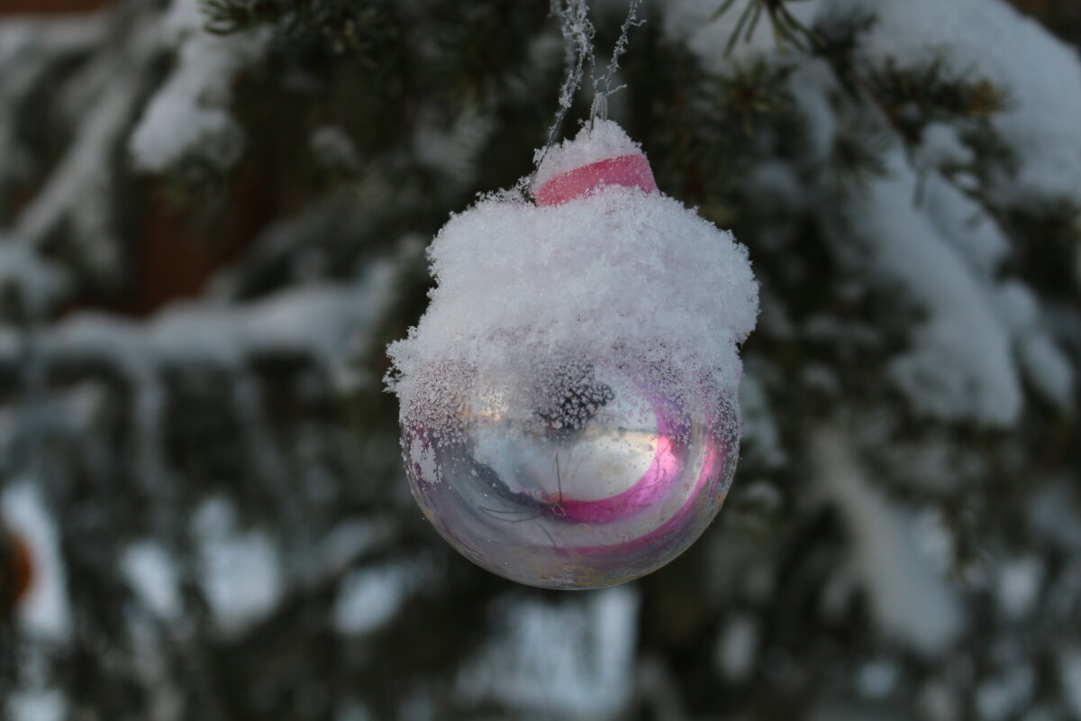 Со старым Новым годом! - Ольга 