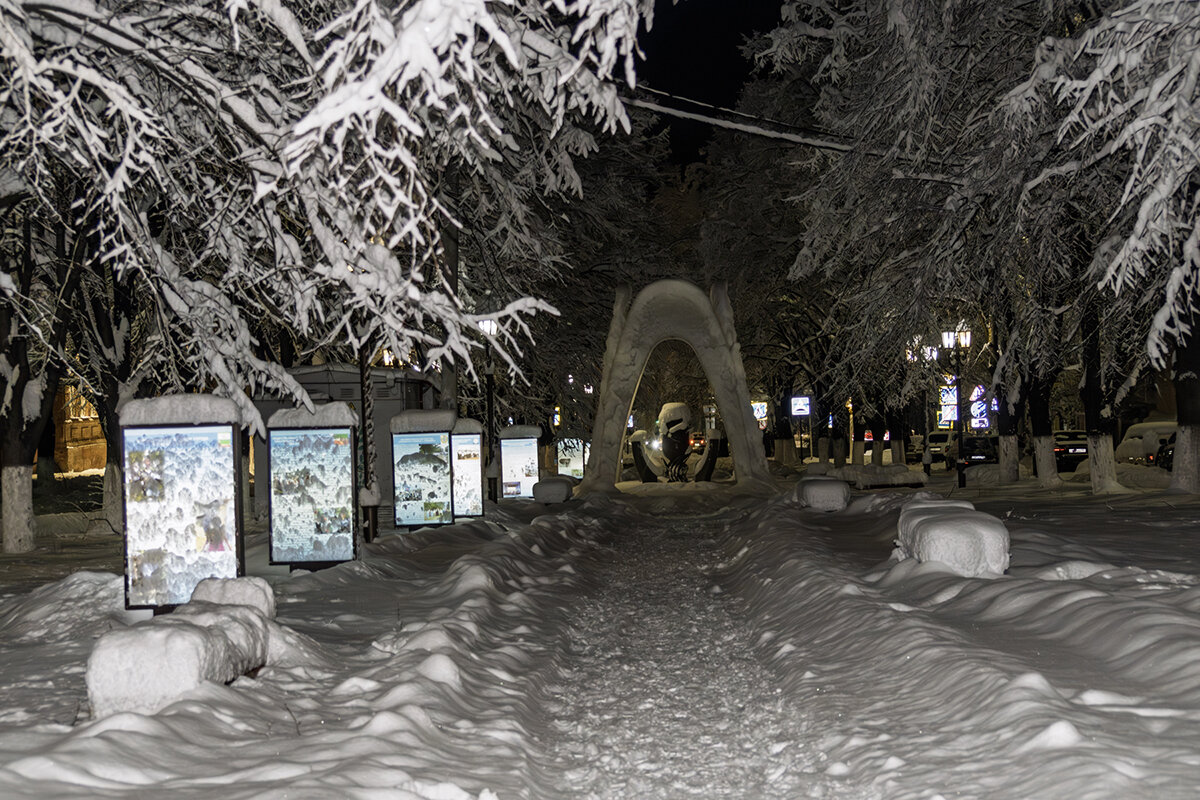Люблю Такие зимы - Игорь Сикорский