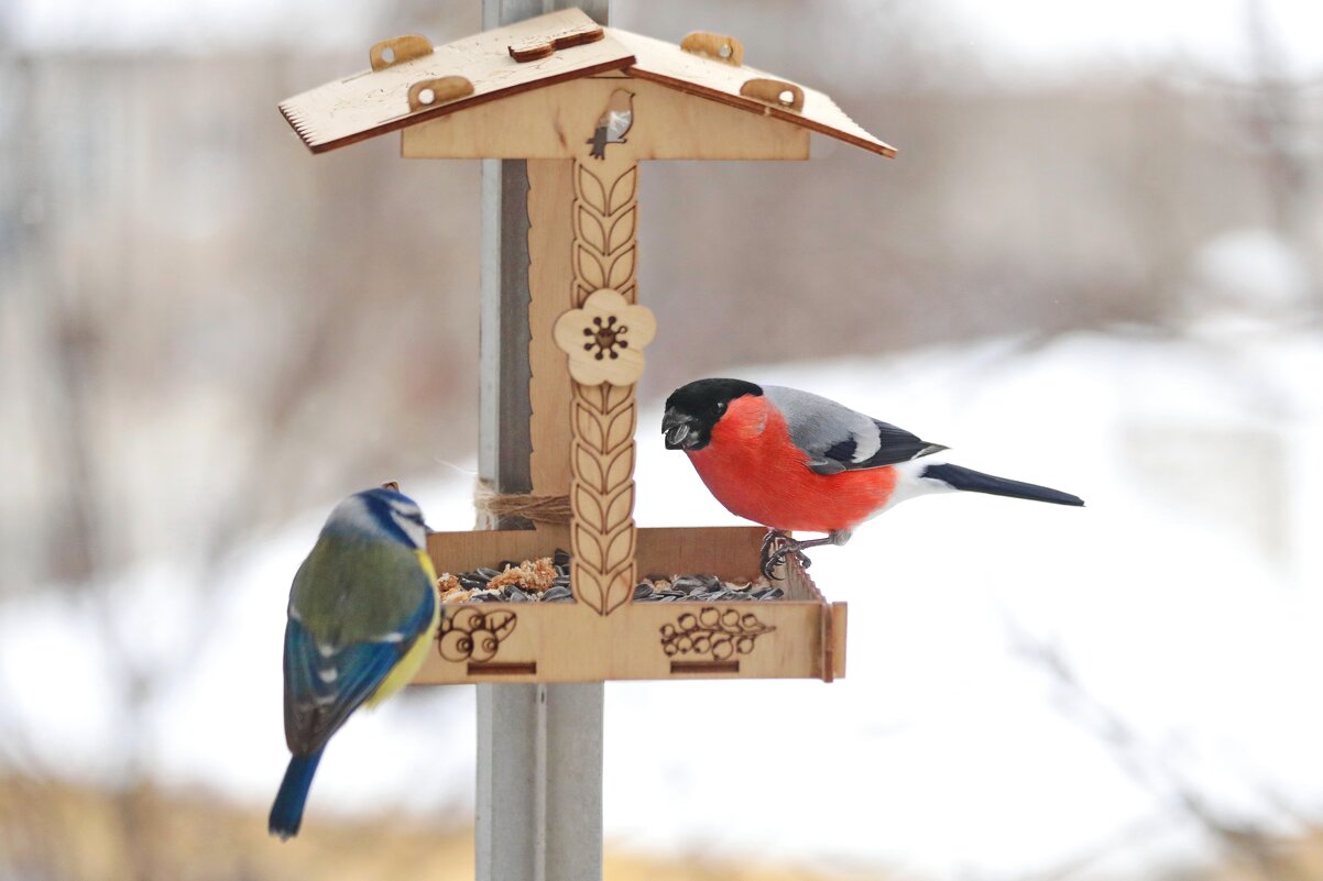 Разговор. - Татьяна Бравая