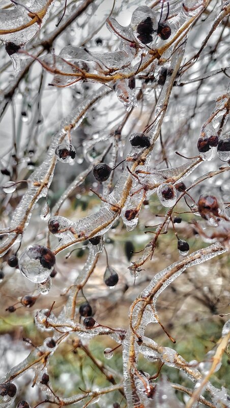 * - Оксана Н.