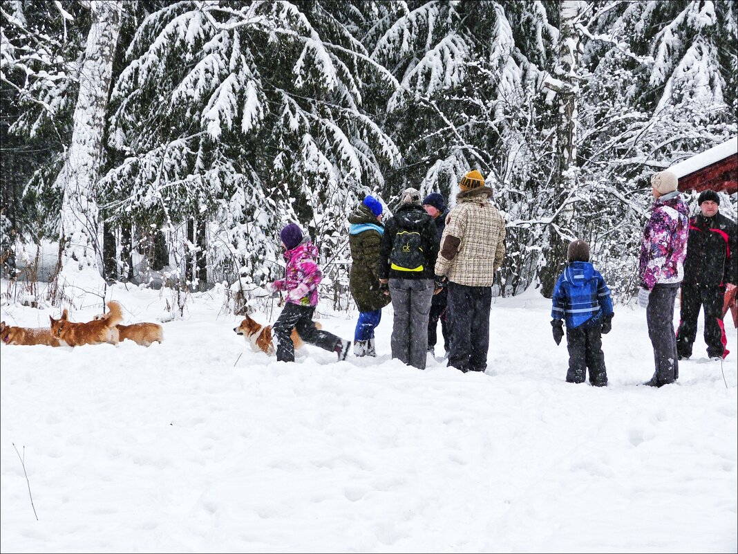 Гуляют все... - Валентина *