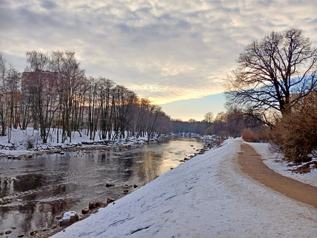 Из зимних прогулок. - Лия ☼