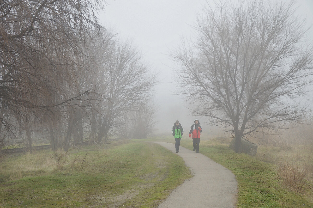 Туман - Надежда Куркина 