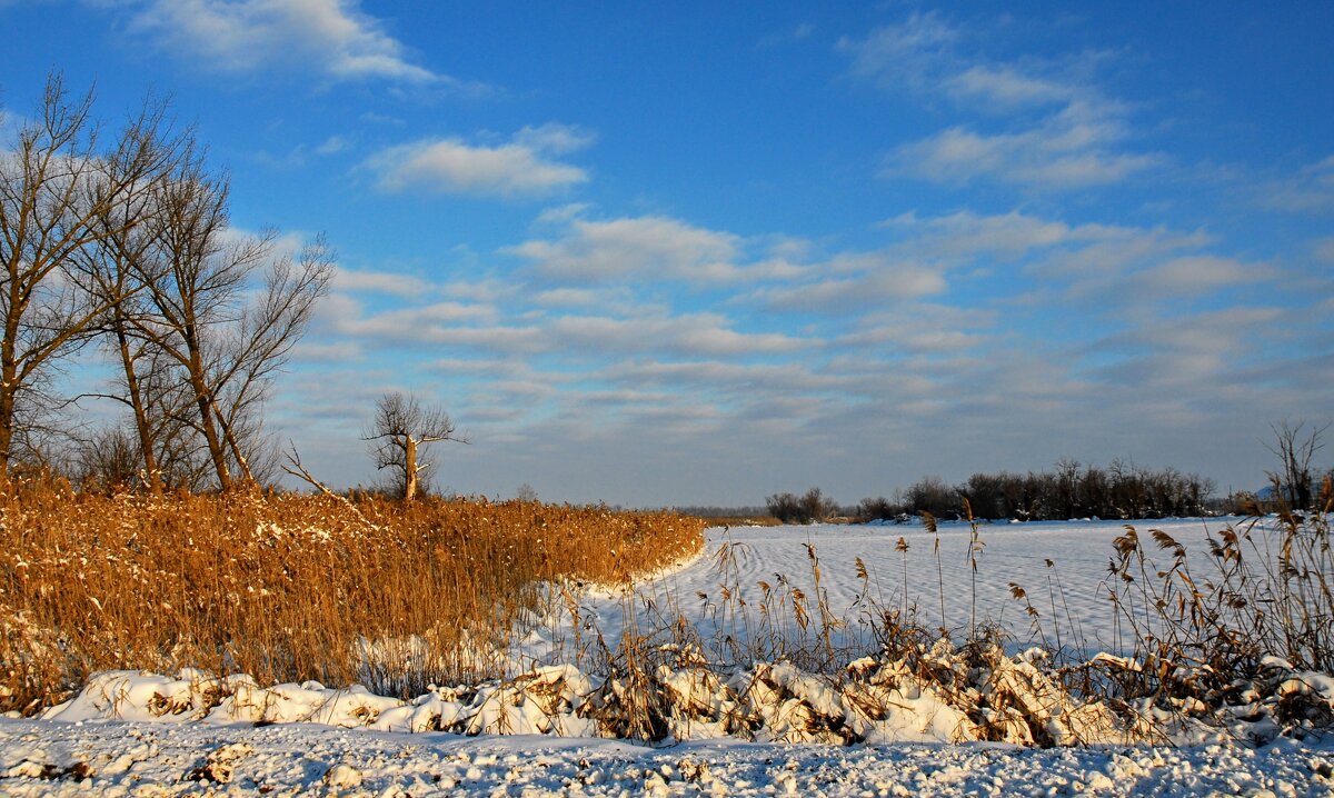 Январь. - Владимир 
