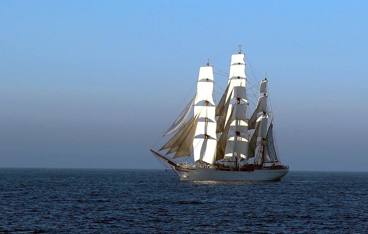 Весь такой белый и красивый. - В.И 