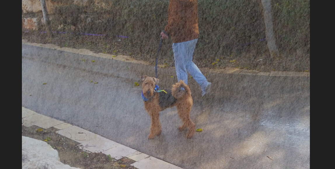 13  ОПЕН (830) - OPEN WAYS ALL